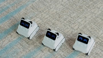 Codey Rocky join forces to create more fun