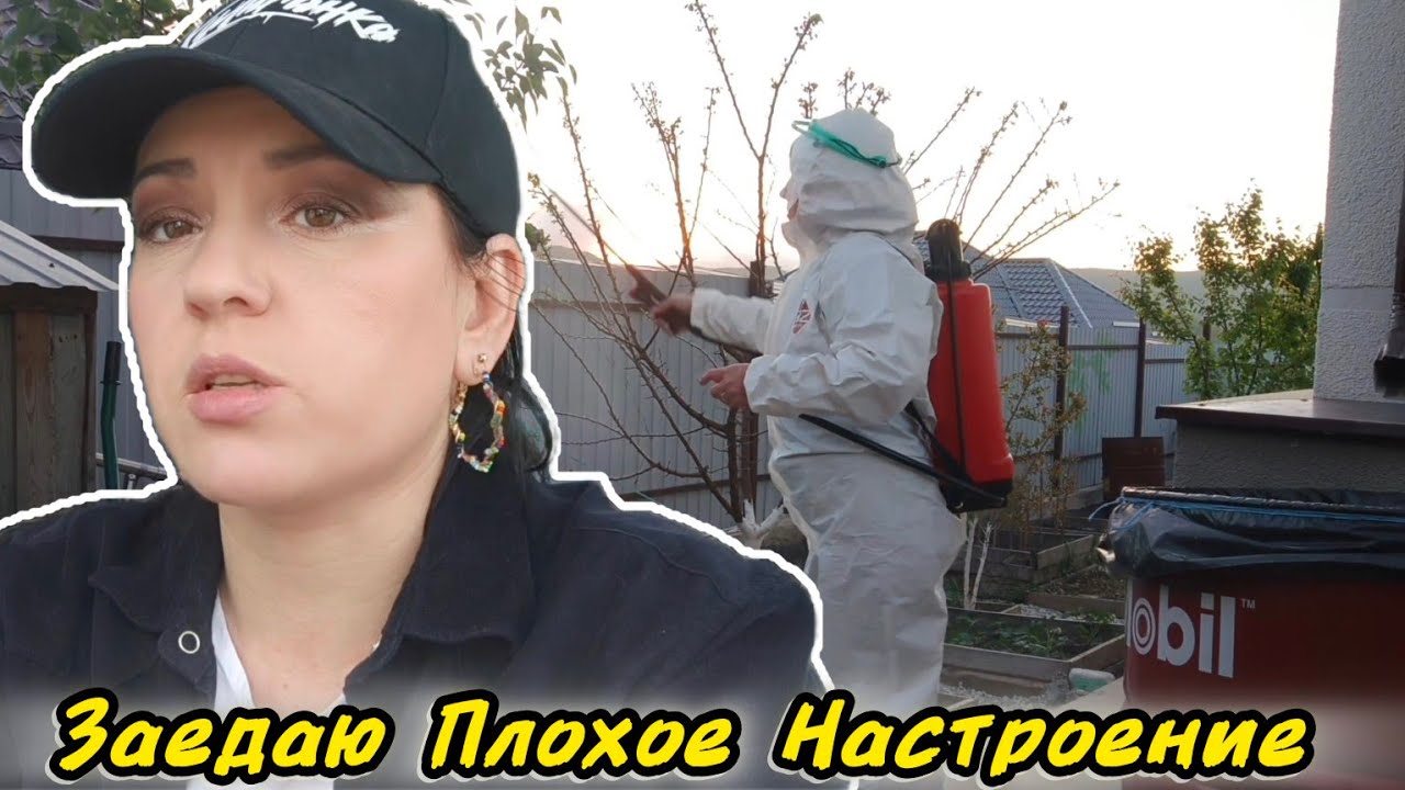 ОБРАБОТКА ДЕРЕВЬЕВ! ЩЕБЕНЬ ПРИДЁТСЯ ДОКУПАТЬ . - YouTube