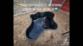 DIY CHICKEN COOP by Mario Saenz Landscaping Services 28 views 2 months ago 35 seconds