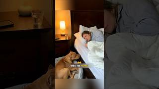 Her Dog Kept Sniffing One Spot Then Doctors Found Something #shortsvideo #viralvideo #wholesome
