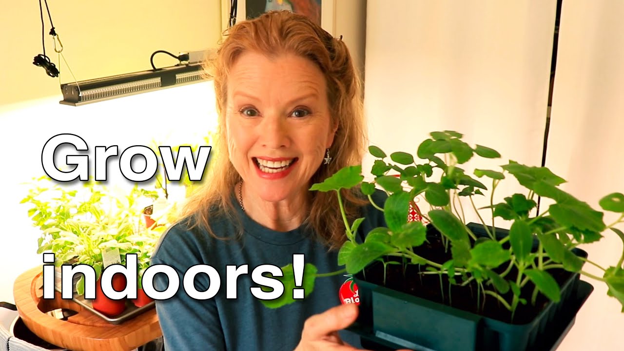 SUCCULENTS, Potting TIPS in your Indoor Garden | Part 3 
