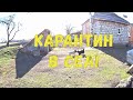 Сільський побут на карантині//Альпійська гірочка чи клумба?