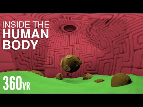 What Happens Inside Your Body? - VR 360° thumbnail
