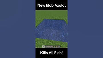 New Mob Axolotl kills all Fishes! Minecraft 1.17 Snapshot