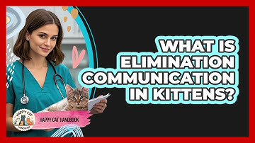 What Is Elimination Communication In Kittens? - Happy Cat Handbook