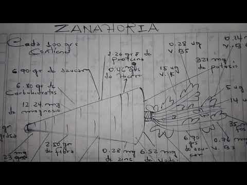 Vídeo: Composición Química Completa De Las Zanahorias