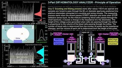 HEMATOLOGY ANALYZER Animation - Cell Counting and Sizing in a 3-Part Diff Hematology Analyzer