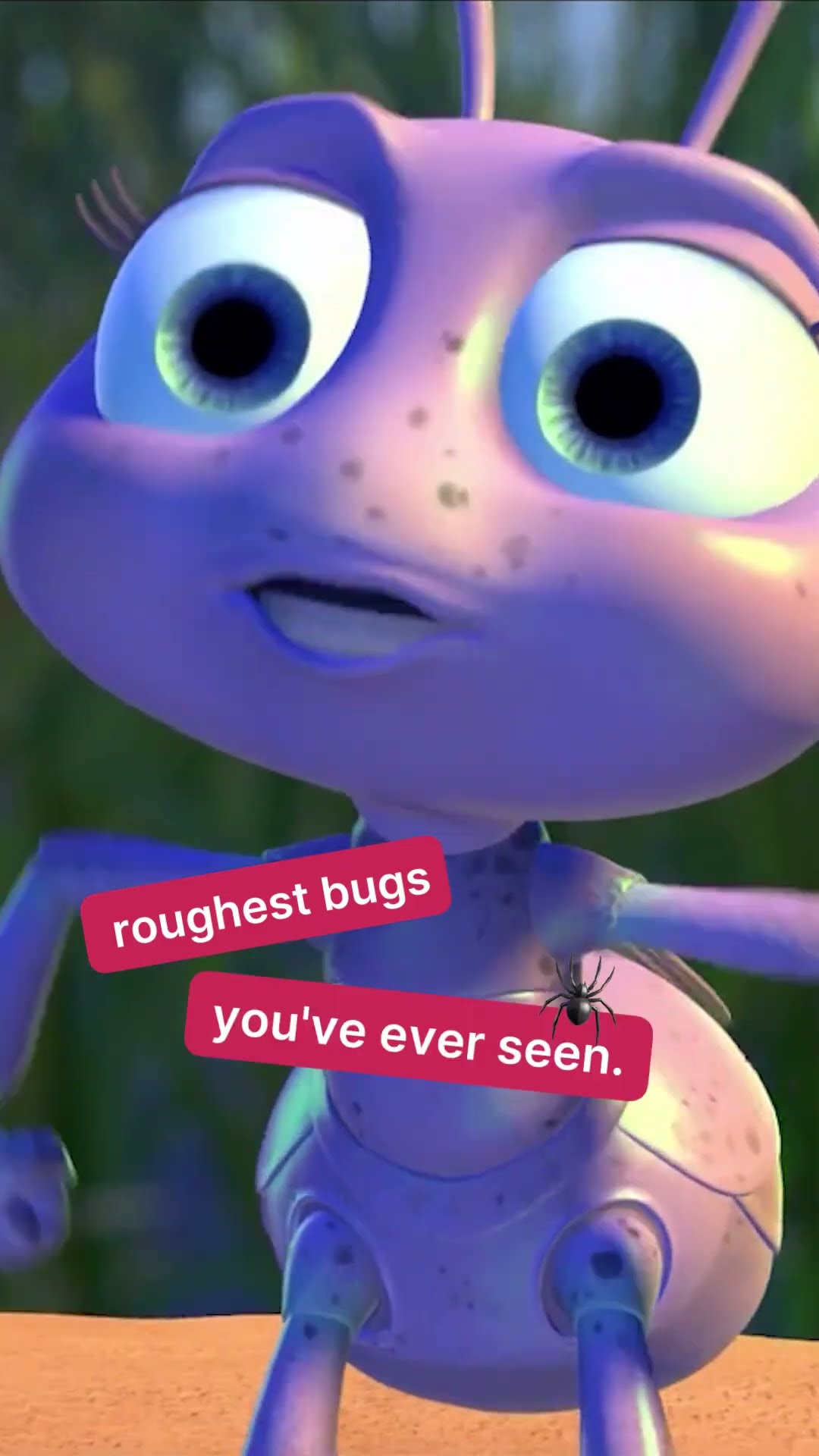 Time for the bug reveal… #ARealBugsLife
