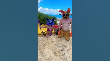 CATNAP STUCK IN THE SAND 😂