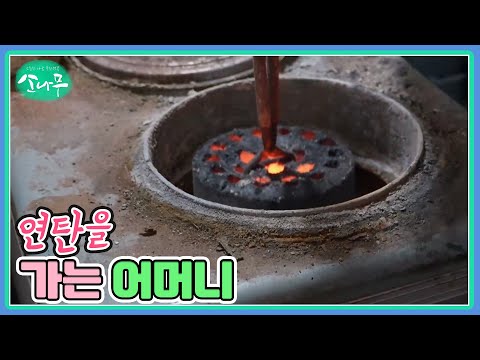 연탄을 가는 어머니 MBN 250224 방송