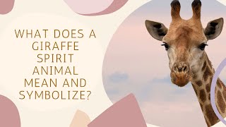 What Does A Giraffe Spirit Animal Mean and Symbolize? Net Worth