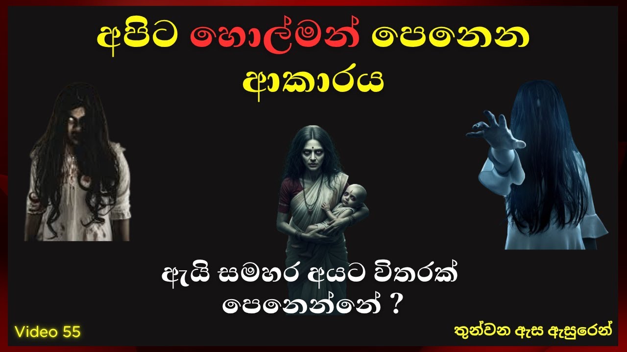 අපිට හොල්මන් පෙනෙන ආකාරය, ඇයි සමහර අයට විතරක් පෙනෙන්නේ ?