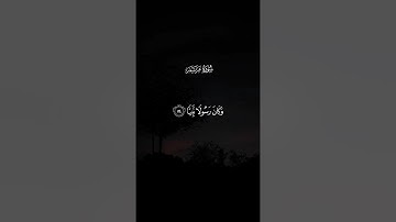 سورة مريم كاملة للقارئ : #سعود_الفايز  🎧🤎 #راحة_نفسية #قرآن #الحمدلله #سورة_مريم 