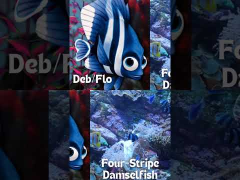 Deb / Flo