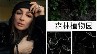 36; Жизнь и учёба в Китае Куда сходить в Харбине Ботанический сад Бесплатные развлечения