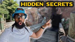 Celebrity Universal Orlando Secrets Tourists STILL Don’t Know Profile