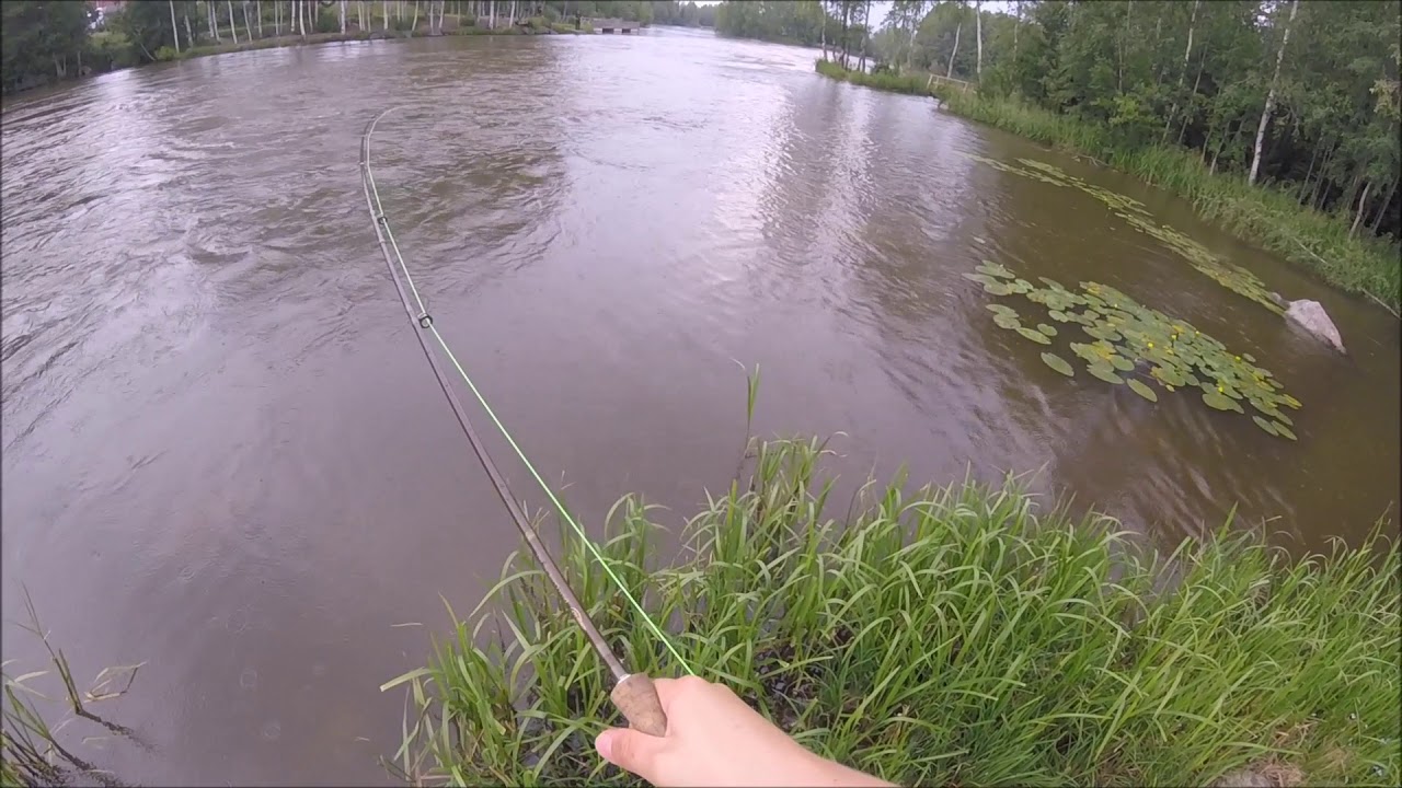 Lempäälän koskilla (Benevivan kalastusvideot 2018)