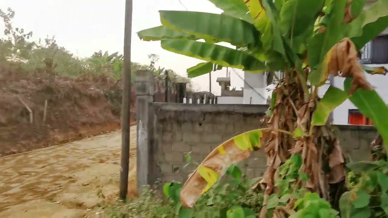 Douala-Lendi... 03 lots de terrain à vendre en mutation directe... prix:45000f/m2..(+237) 697444141