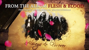 Whitesnake - Always & Forever - Video Gift