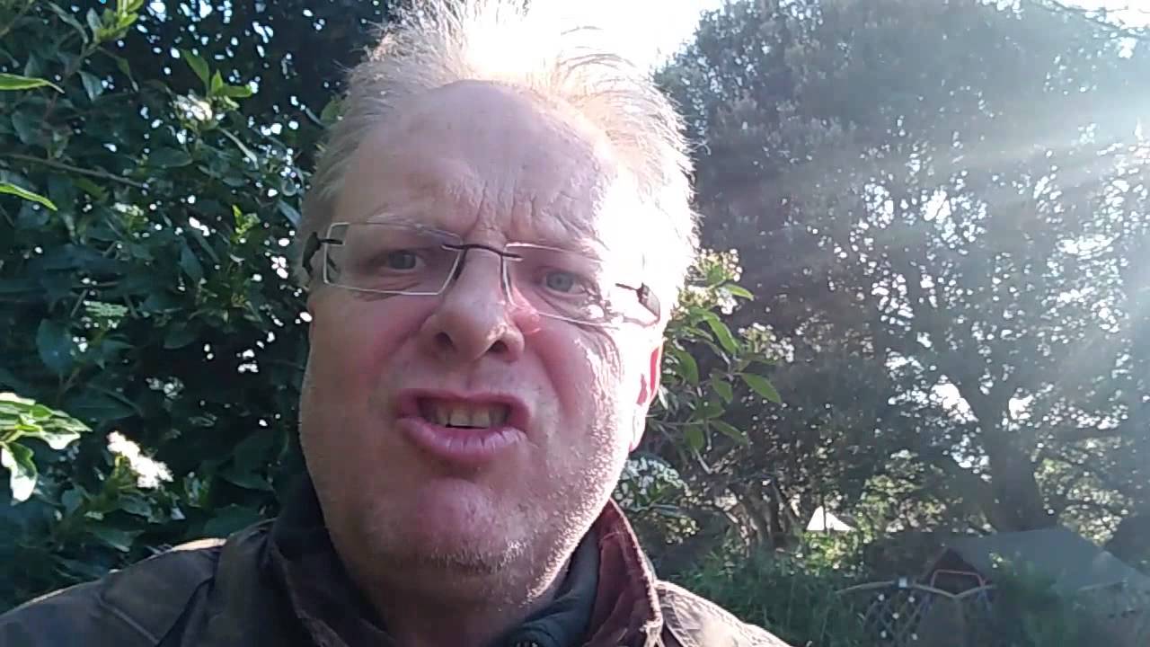 Up stepladder in back garden