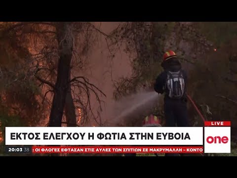 Μάχη με τις φλόγες στην Εύβοια: Πυροσβέστες προσπαθούν να σώσουν σπίτια