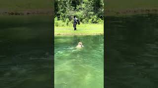 FULL VIDEO!! Greedy Man swimming across the pond to work and recalls back, 2 different times!
