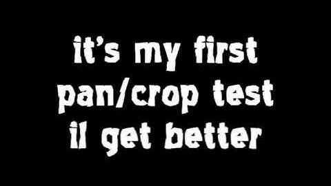 sony vegas test: pan/crop movement