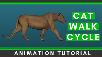 Cat Walk Cycle Animation Tutorial [Step by Step]