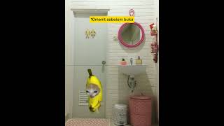ada yang pernah kayak gitu?? #cat #kucing #shortvideo #shorts #funny #funnycats #fyp