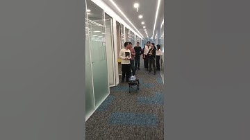 Unitree Robotics - Robot Dog help people carry the stuff.