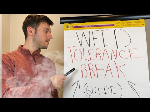 Tolerance Break Survival