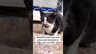For Any Support Click Our Link In Bio To Help. All Pledges You Make To Support Are Appreciated