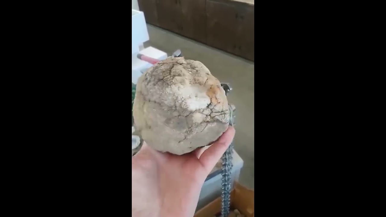 I Crack A Geode With BIG SURPRISE INSIDE Crystals Nature Geology Vibes Cracked