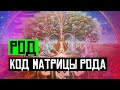 Род. Код матрицы рода