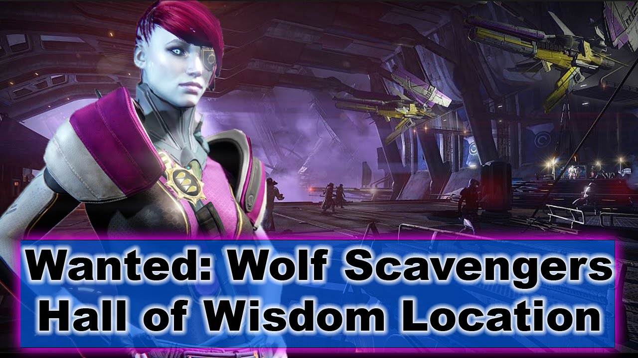 destiny wolf scavengers destiny wolf scavengers