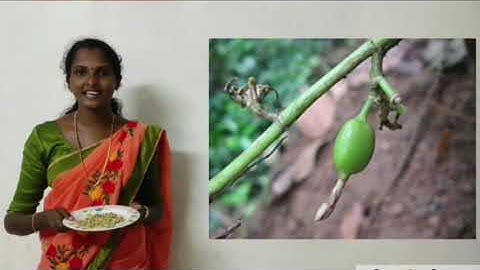 Std 7 Social Science Unit 2 Class 03 White Board ASD