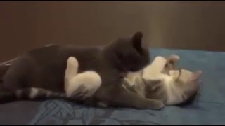Relationship goals #9GAG
