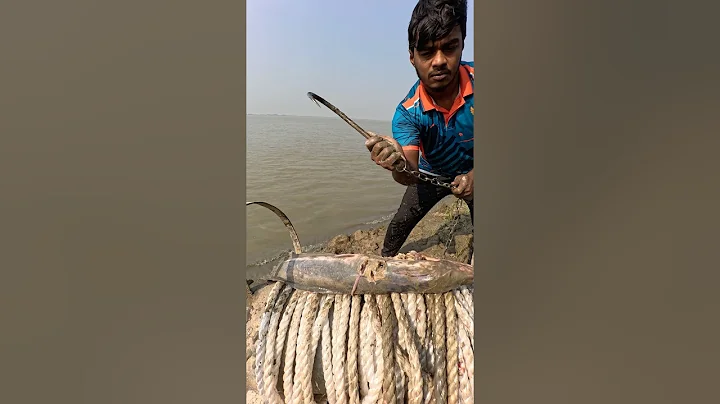 Uncommon catfish bait throwing technique  #fishinglife  #bait  #shorts