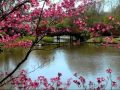 Barry Manilow Even Now Lyrics YouTube