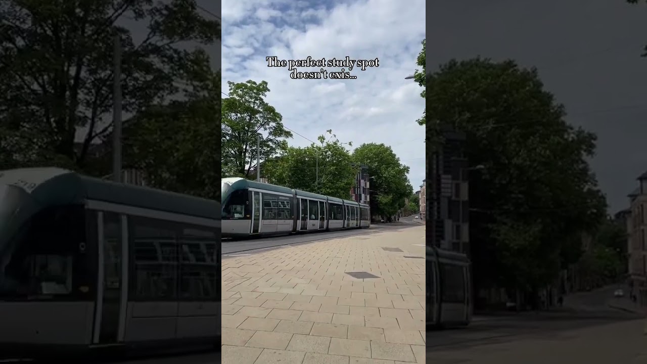 A top tier study spot 🌹🌸 