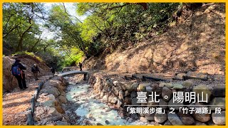 陽明山∣紫明溪步道∣竹子湖路段