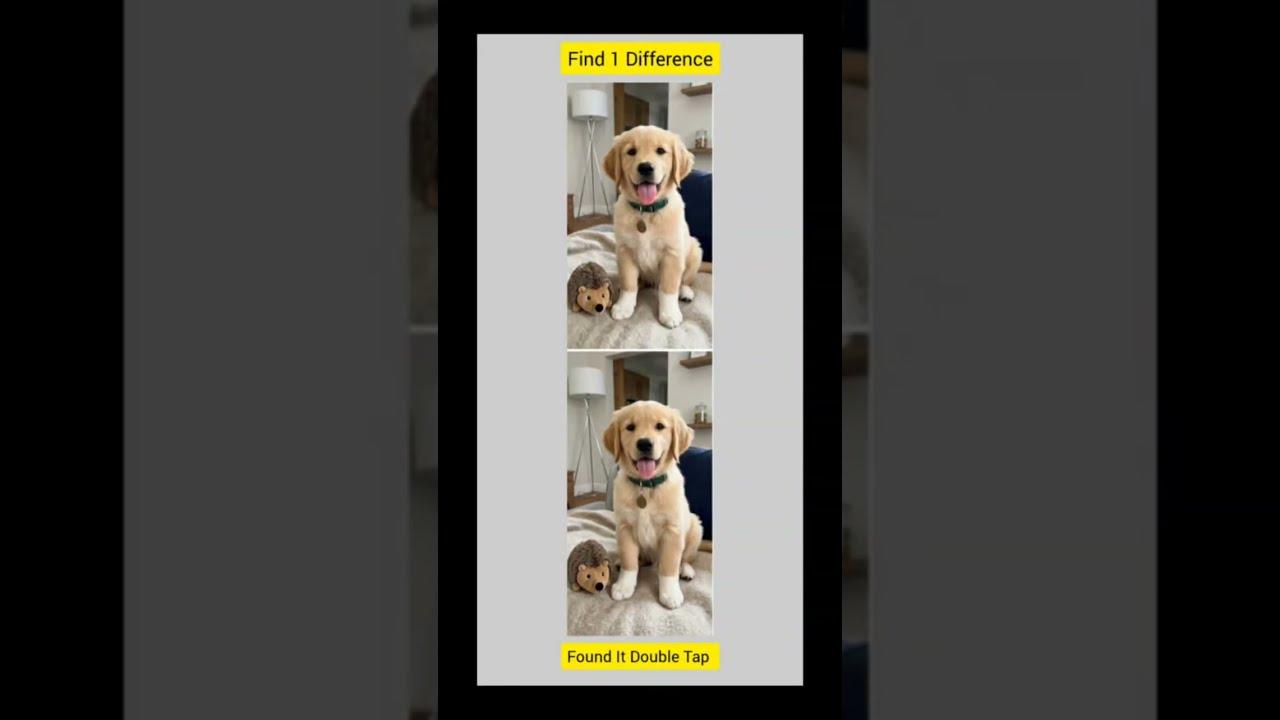 Puzzles challenge for sleep subscribe