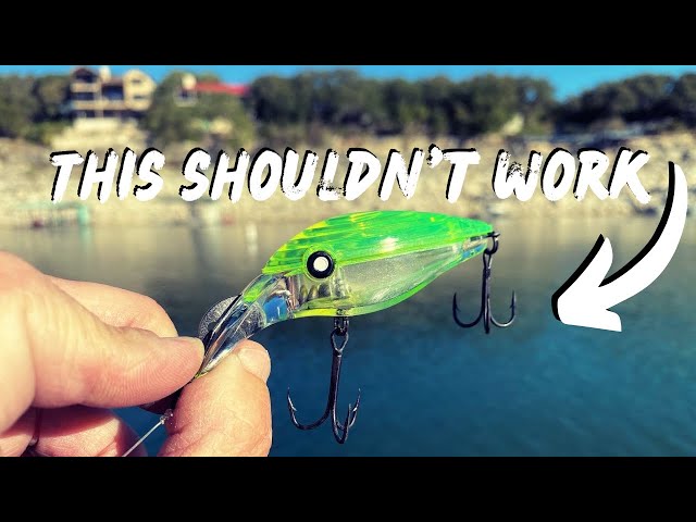 I never expected this lure to work (feat. Rebel Lures Blackstar) 