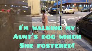 Walking My Aunts Dog With My Aunt