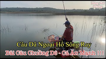 Câu cá cấm trại hồ Sông Ray, bãi câu Chuồng Dê cá rô phi ăn mạnh.