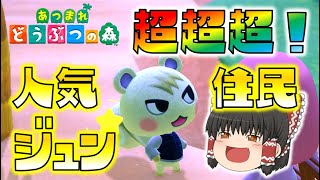 【あつ森】超超超大人気住民！ジュンを離島ツアーで引き当てた！ゆっくり達のあつまれどうぶつの森 part21