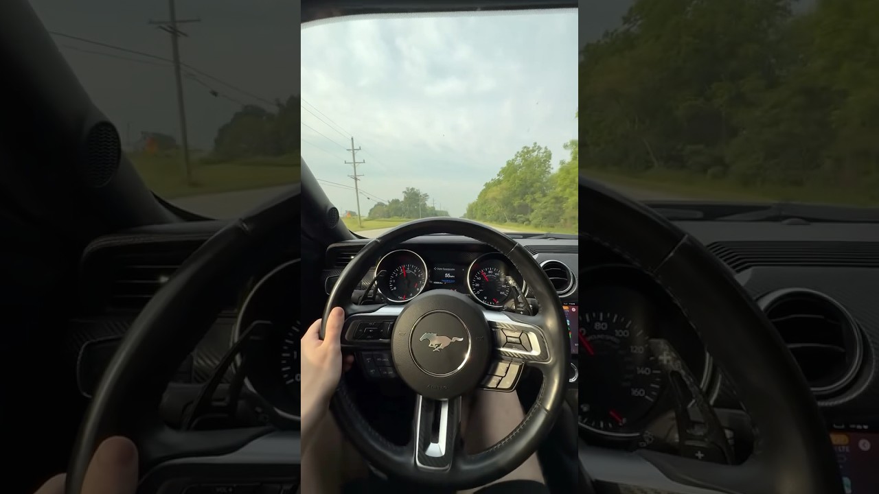 Mustangs Being Mustangs 😂 #558 #shorts