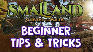 Smalland Beginner Tips & Tricks