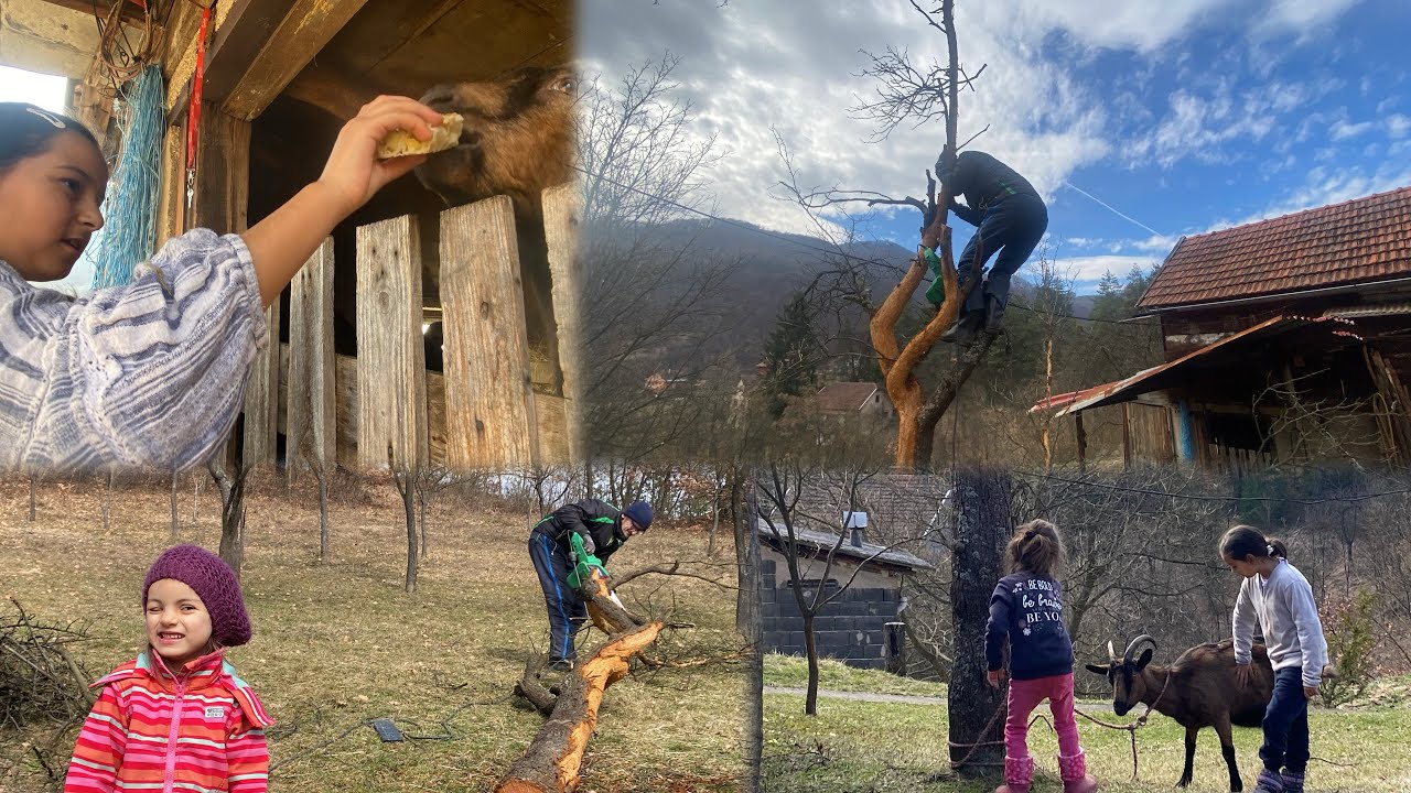 5.dan ramazana a mi radimo punom parom | na selu uvijek posla ima