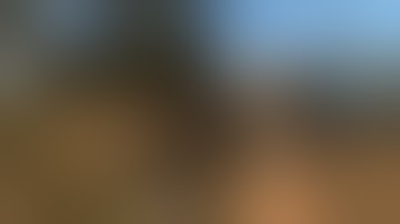 Unchosen Arts: Stranded Deep: lost with a paddle